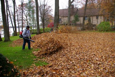 fall-leaf-cleanup